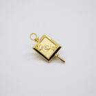 Sigma Phi Alpha Keypin